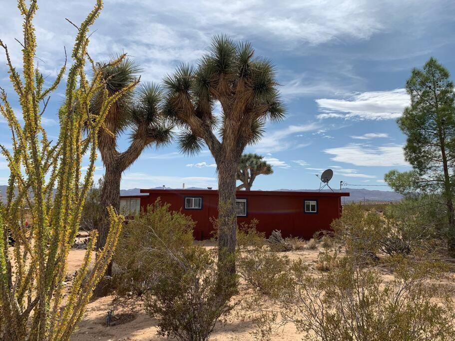 The La Brisa Hideaway - Secluded Feeling! Vila Joshua Tree Exterior foto