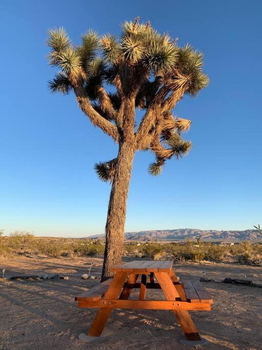 The La Brisa Hideaway - Secluded Feeling! Vila Joshua Tree Exterior foto