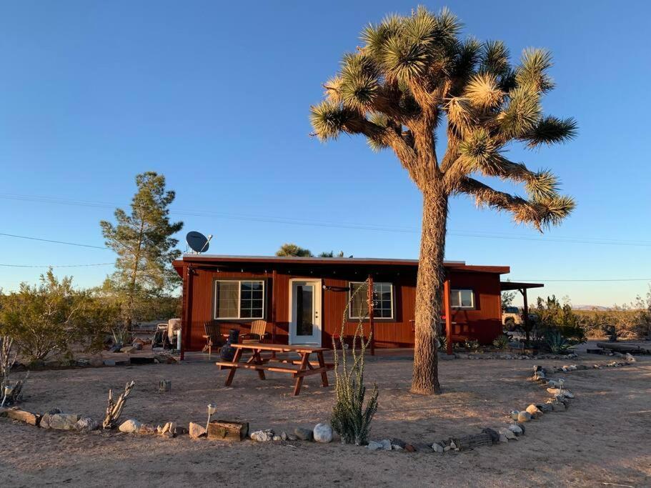 The La Brisa Hideaway - Secluded Feeling! Vila Joshua Tree Exterior foto