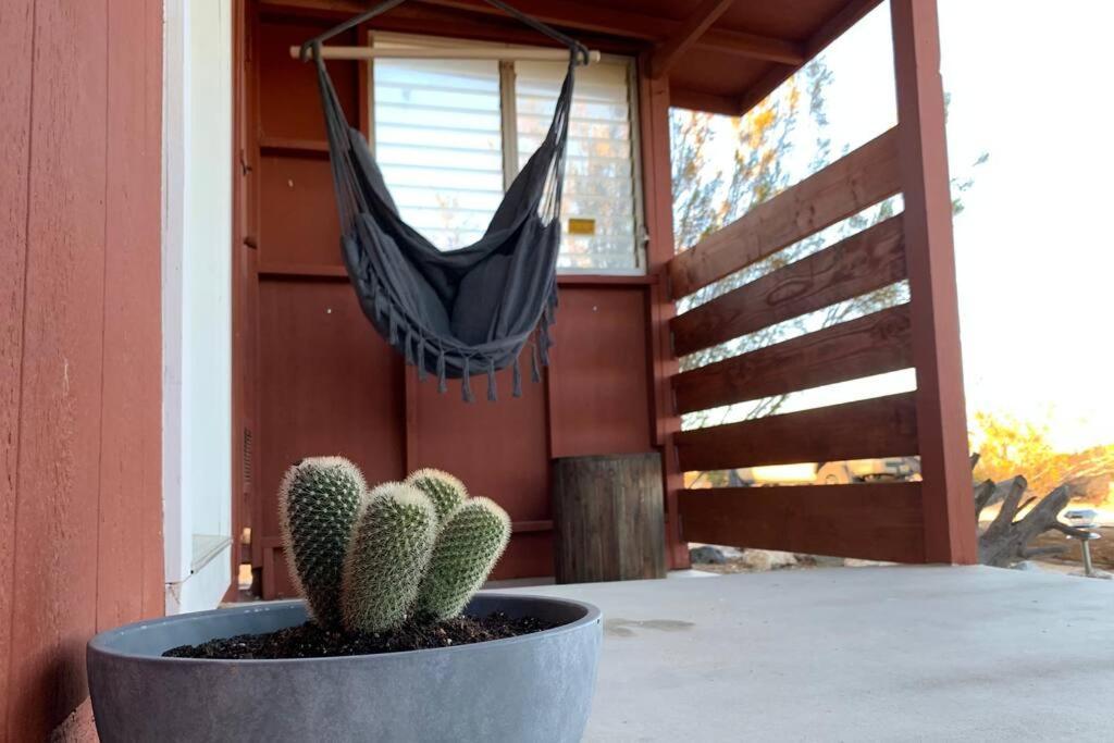 The La Brisa Hideaway - Secluded Feeling! Vila Joshua Tree Exterior foto