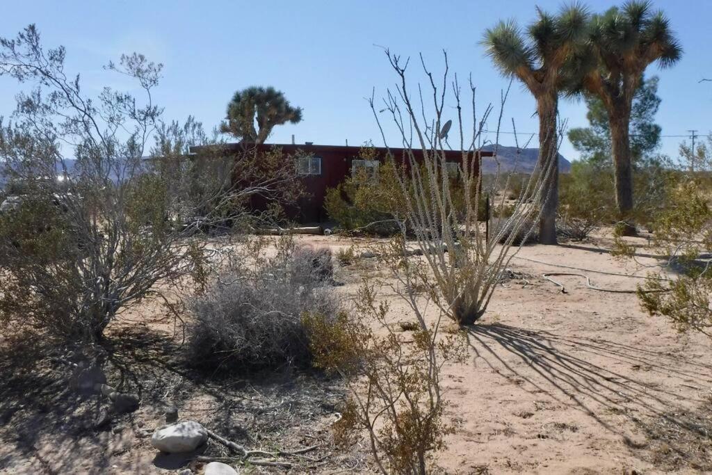 The La Brisa Hideaway - Secluded Feeling! Vila Joshua Tree Exterior foto