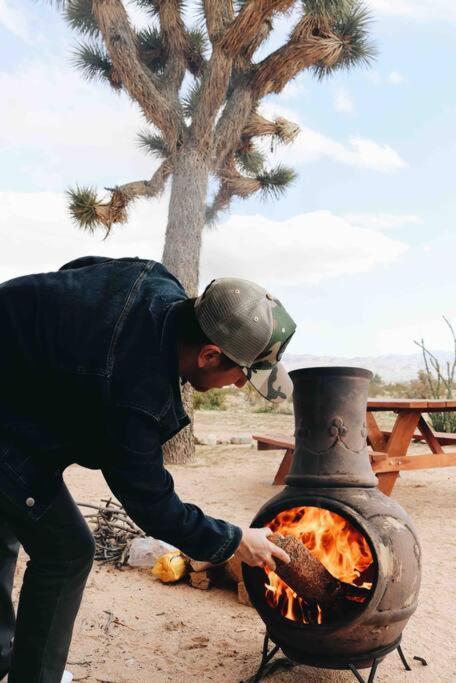 The La Brisa Hideaway - Secluded Feeling! Vila Joshua Tree Exterior foto