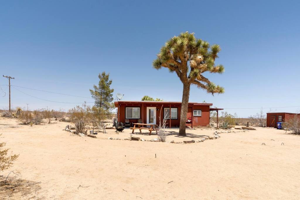 The La Brisa Hideaway - Secluded Feeling! Vila Joshua Tree Exterior foto