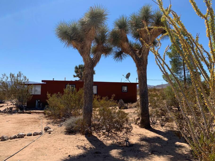 The La Brisa Hideaway - Secluded Feeling! Vila Joshua Tree Exterior foto